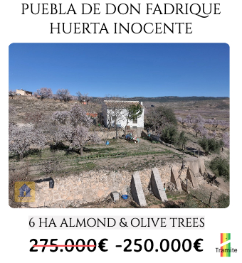 cuevas spain cheap property